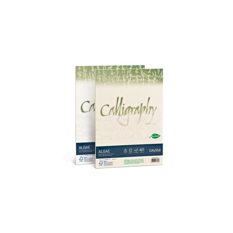 CARTA CALLIGRAPHY ALGAE BIANCO 90GR 50FG